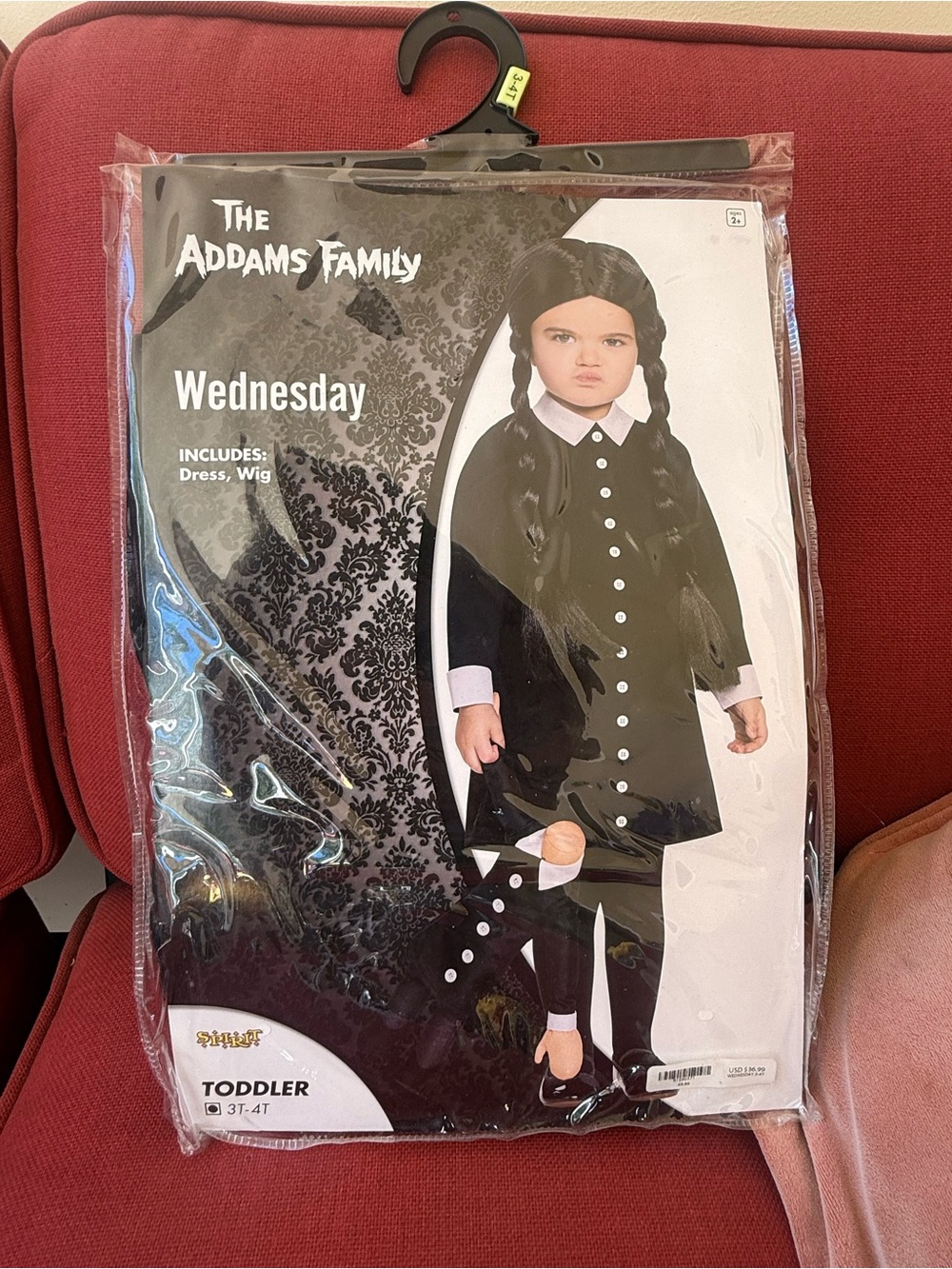 Wednesday Addams Toddler Costume - Black